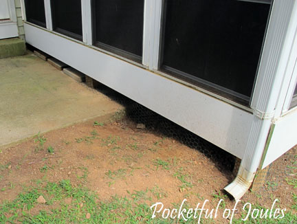 Dog proofing porch - 8
