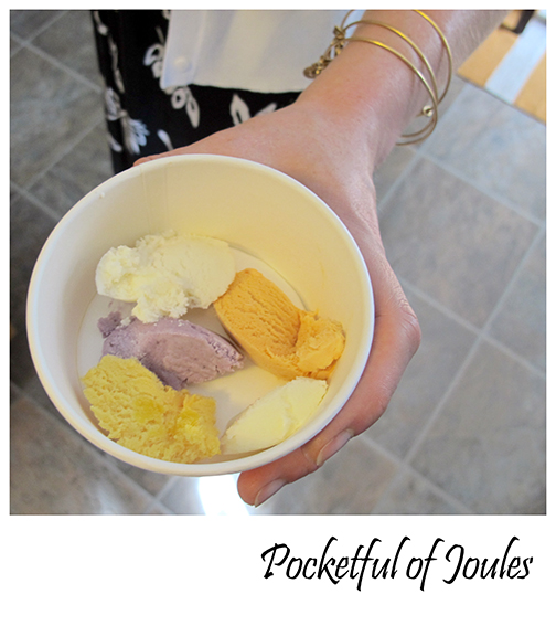 Ice cream flavors - Pocketful of Joules
