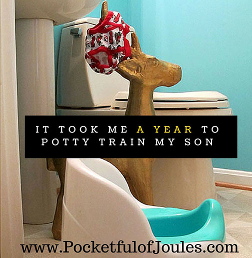 it took me a year to potty train my son